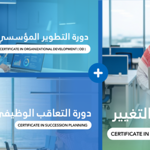 Organizational Excellence in Human Resources